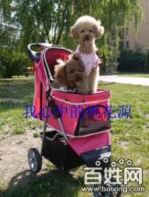 寵物推車批發零售 為愛寵打造舒適出行體驗