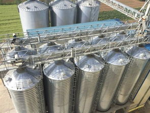 安德里茨與澳華集團深化合作 第二個技術轉讓項目成功投產